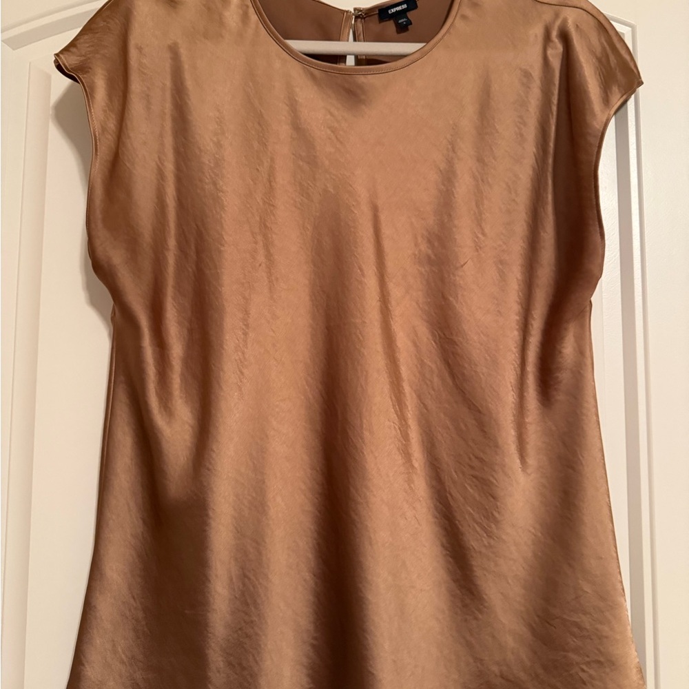 Express Shimmering Tan Blouse